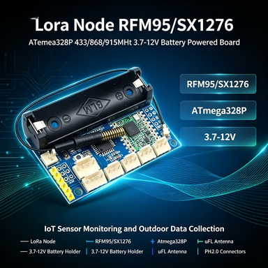 Nodo LoRa 433/868/915MHz con R - Lora Rfm95 recensione e prezzo