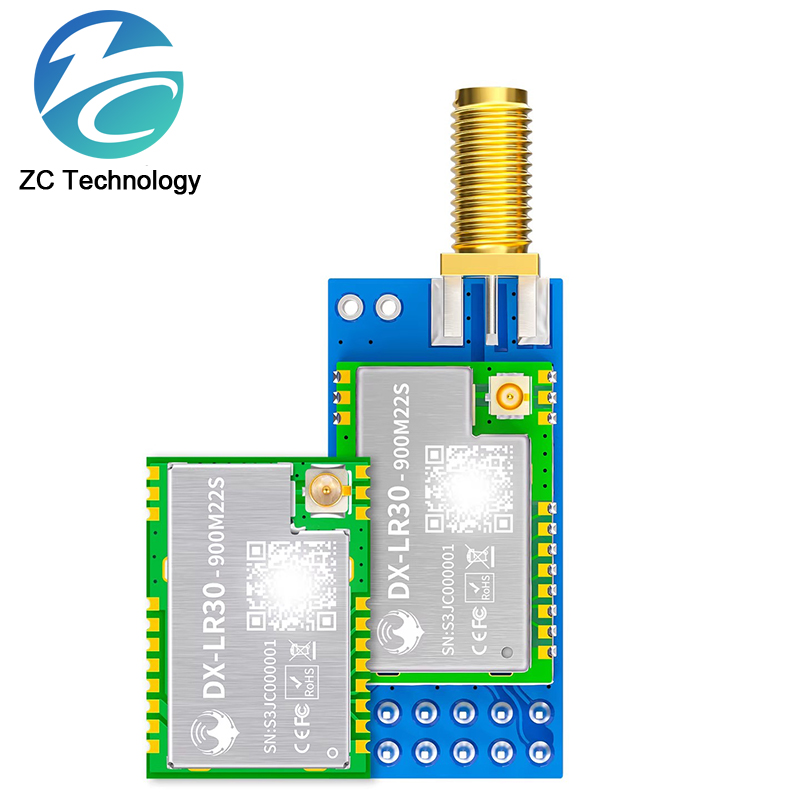 SX1262 LoRa Modulo Sviluppator - Lora Rfm95 recensione e prezzo
